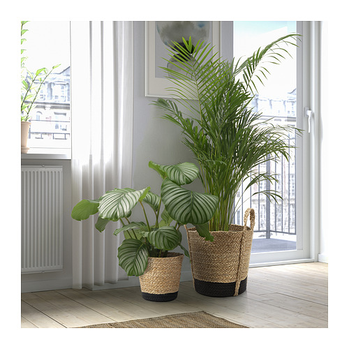 TÄRNMÅS, plant pot. 5 of 6 open dialog