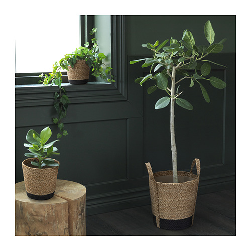 TÄRNMÅS, plant pot. 6 of 6 open dialog