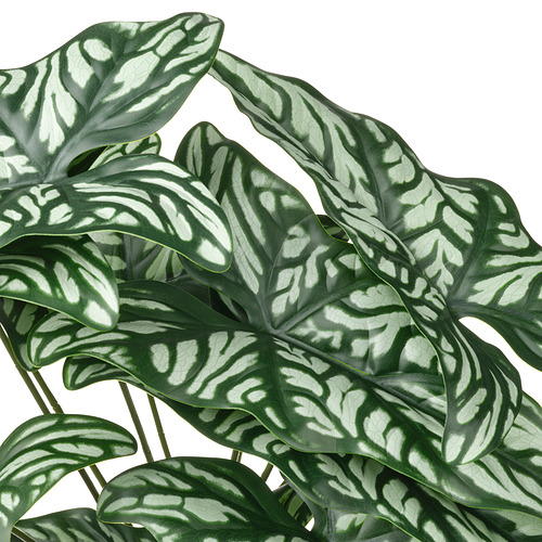 Planta artificial con hojas verdes exuberantes y vibrantes con veteado blanco. El follaje falso parece realista y saludable.