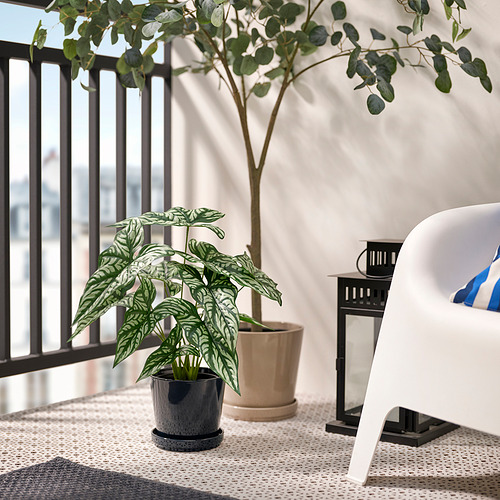 Pequeña planta en maceta sobre mesa de balcón, junto a silla blanca.