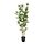 Select colour variation: Bamboo