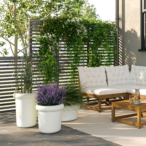 Grandes macetas blancas de MÅBÄRSBUSKE contienen vibrantes verdes y lavanda, acompañando una acogedora zona exterior con muebles de madera y una alfombra beige.
