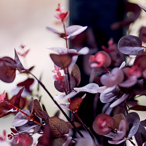 SMYCKA, artificial leaf. 2 of 4 open dialog