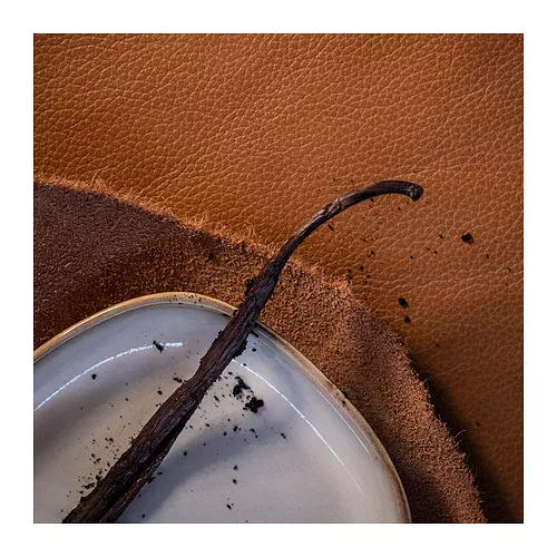 Shop for Furniture, Lighting, Home Accessories & More