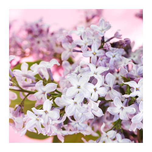 MORKULLA, vela aromática recipiente de vidrio. 6 de 6 open dialog