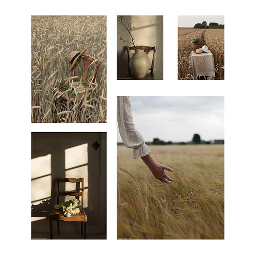 Collage de impresión artística de cinco paneles que representa escenas rurales e interiores con elementos naturales como campos de trigo y flores.