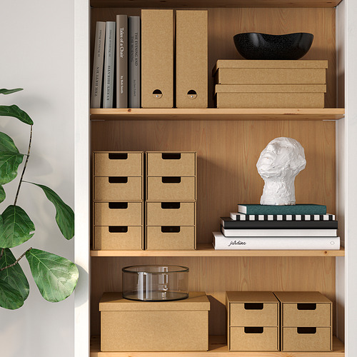 Estantería de madera con cajas, libros y una planta.
