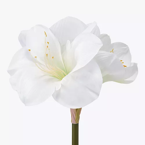 Shop for Furniture, Lighting, Home Accessories & More