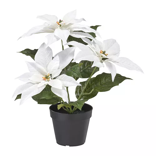 Shop for Furniture, Lighting, Home Accessories & More