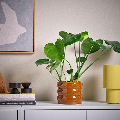 Jardinera de gres naranja HASSELBUKETT en estantería con libros.