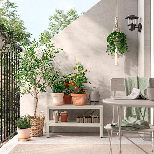 DJURTRÄNARE, basket. 3 of 6 open dialog