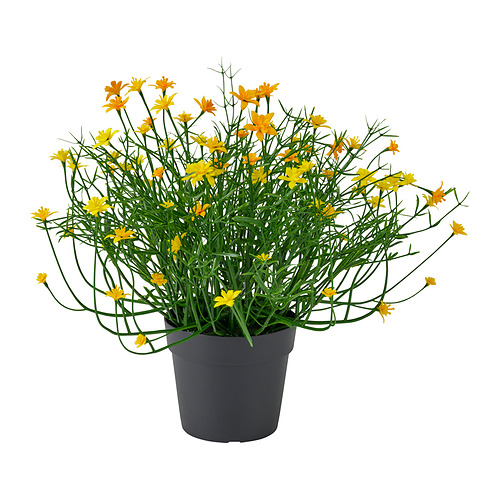 FEJKA, artificial potted plant. 1 of 3 open dialog