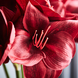 VINTERFINT flor artificial