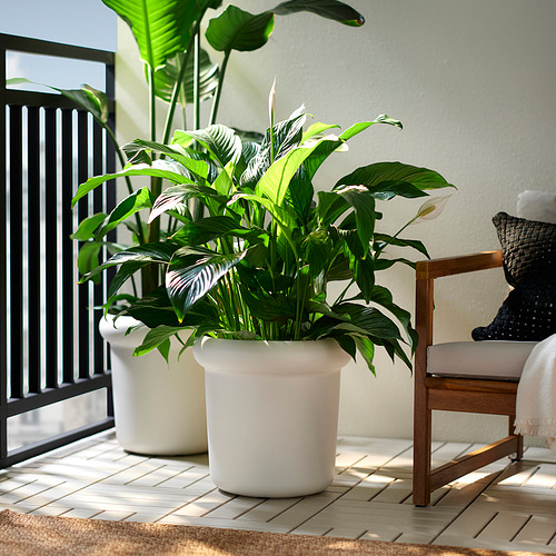 MÅBÄRSBUSKE, maceta. 2 de 5 open dialog