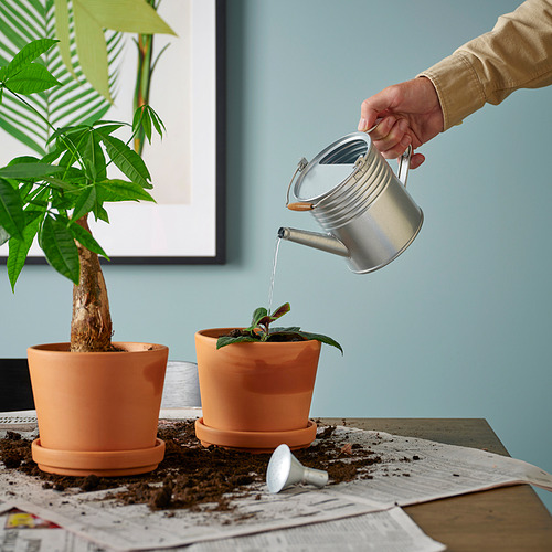 KORKGRAN, regadera. 2 de 4 open dialog