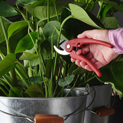 BRYTBÖNA, pruning shears. 2 of 3 open dialog