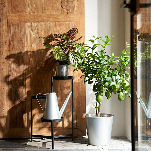 ÅKERBÄR, plant pot 4 of 7 open dialog