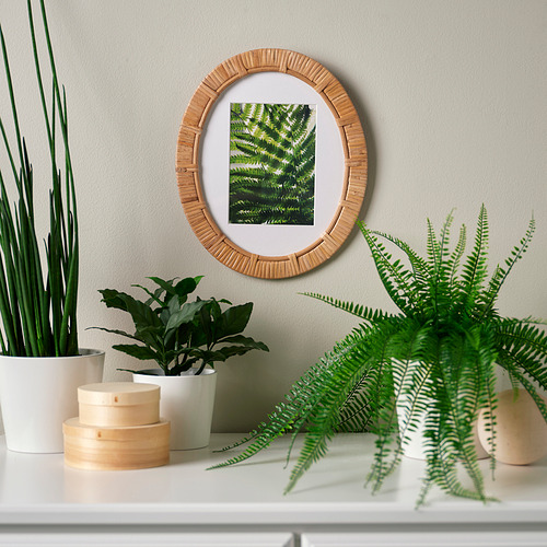 TRIVIALSKOG, marco. 3 de 4 open dialog