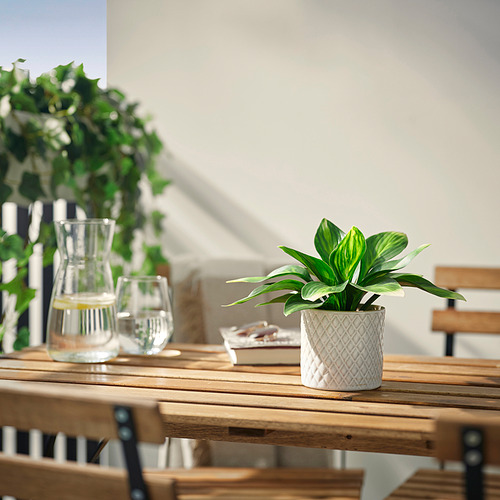 FEJKA, artificial potted plant. 2 of 3 open dialog