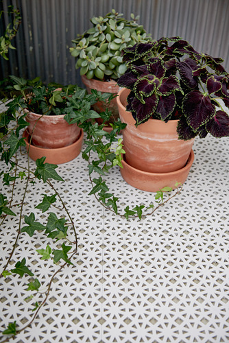 Tres plantas en macetas sobre una plataforma de piso ALTAPPEN blanca con patrones geométricos, hecha de plástico duradero, que está estabilizado a los rayos UV y es resistente a la intemperie.