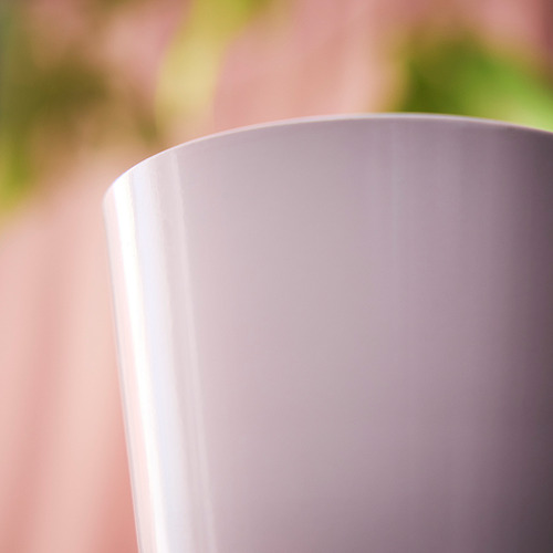 SOJABÖNA, plant pot. 3 of 4 open dialog