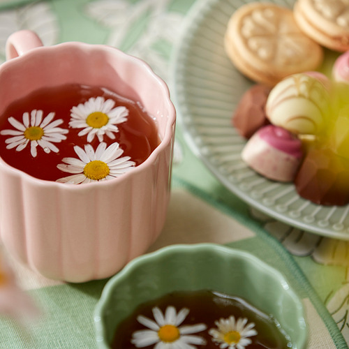 SMÖRFISK, taza. 2 de 3 open dialog