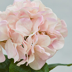 SMYCKA artificial flower