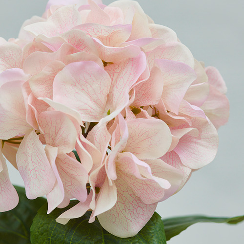 SMYCKA, artificial flower. 2 of 3 open dialog