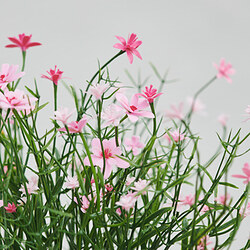 FEJKA planta artificial en maceta