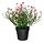 Select colour variation: indoor/outdoor/Baby’s breath pink