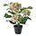 Selecciona variación de color: interior/exterior/hortensia blanco, 4 ¾ "