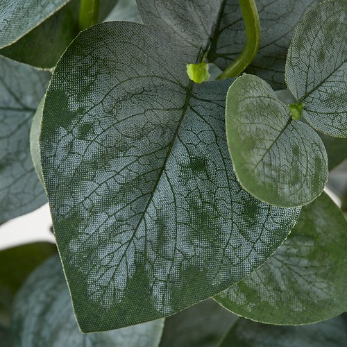 FEJKA, planta artificial en maceta. 3 de 3 open dialog