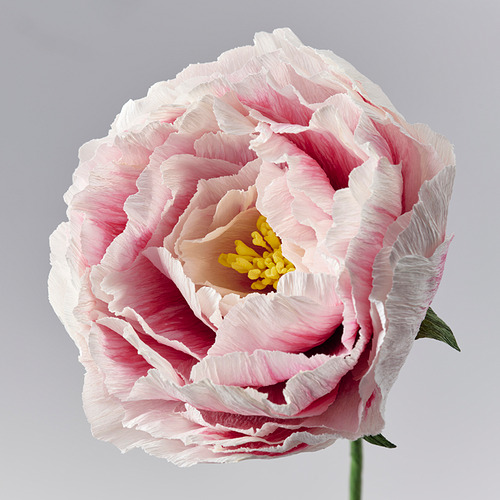 GULDSPETT, artificial flower. 4 of 4 open dialog