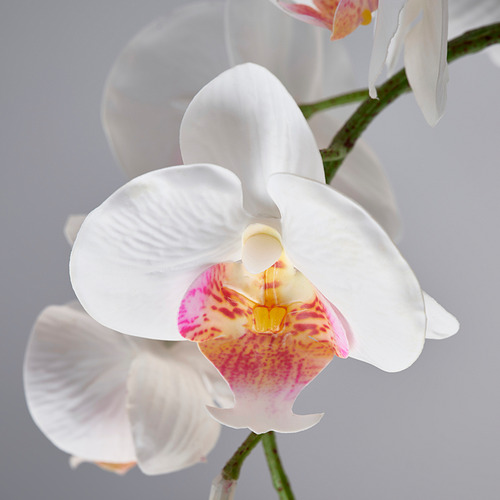 FEJKA, planta artificial en maceta. 3 de 3 open dialog