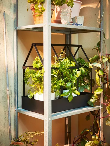 IKEA Santo Domingo - HYLLIS shelf unit