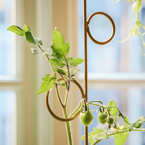 DOFTRIPS plant trellis set of 2