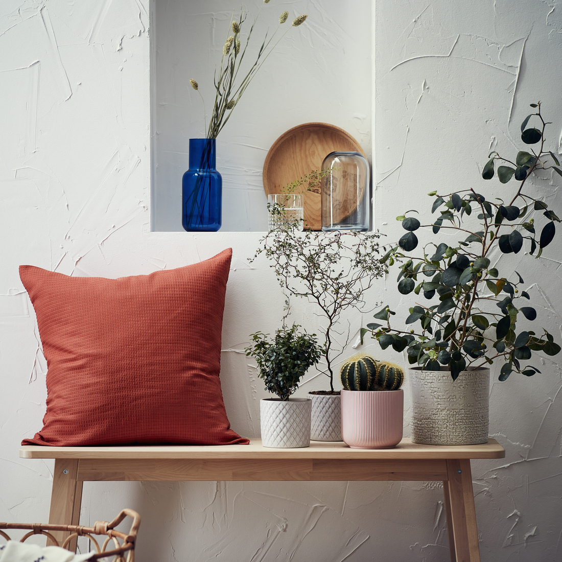 GRADVIS, maceta. 4 de 5 open dialog