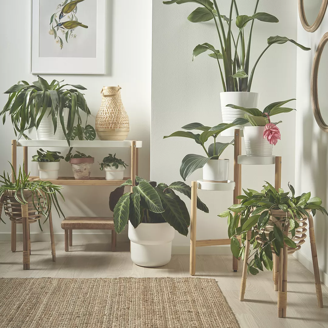 IKEA Santo Domingo - LOHALS rug, flatwoven, natural, 5 ' 3 
