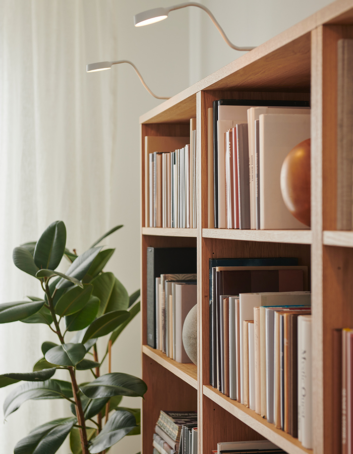 Wooden bookshelf with books and decorative items, lit by flexible LED lamps, next to an indoor plant in a naturally lit space.