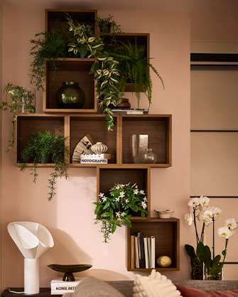 Estanterías de madera asimétricas en pared rosa, decoradas con plantas colgantes, orquídeas y objetos. Ideas para organizar y embellecer tu salón con naturaleza.