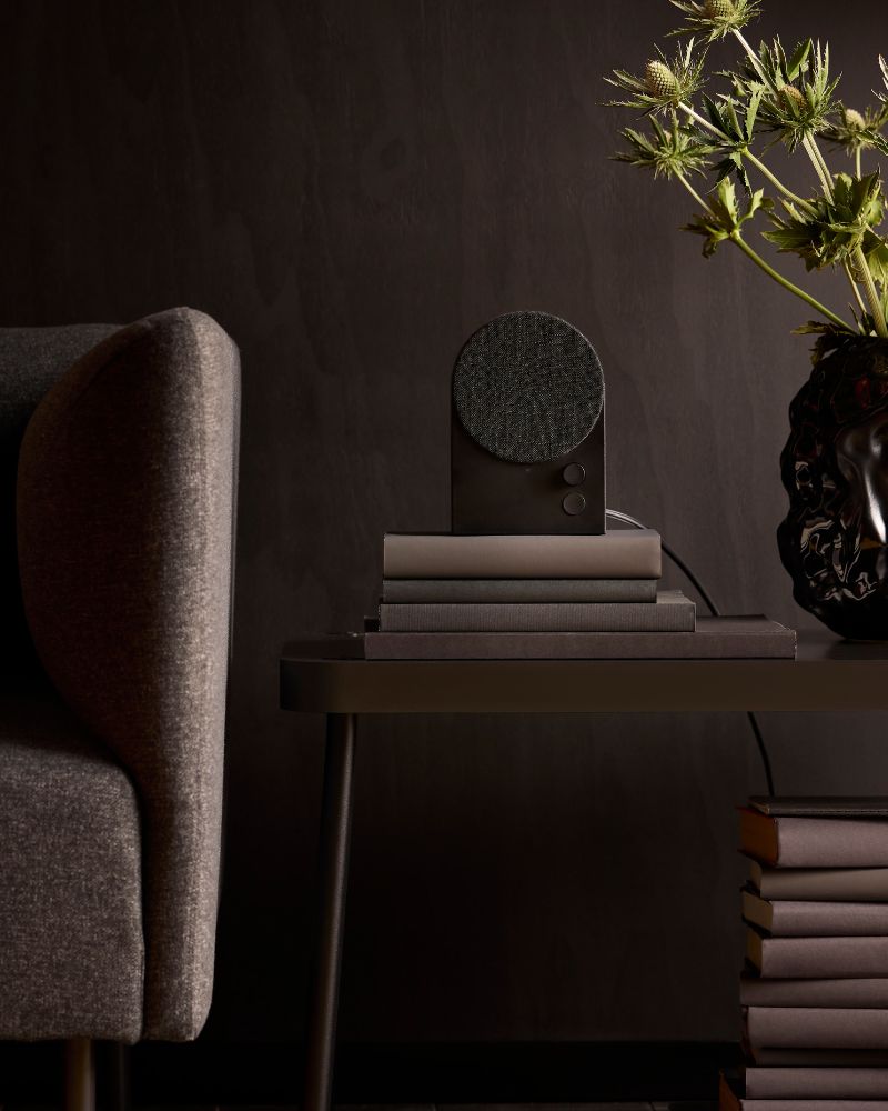 A dark grey speaker sits on a stack of books on a dark side table. A grey sofa and a black vase with green plants are nearby.