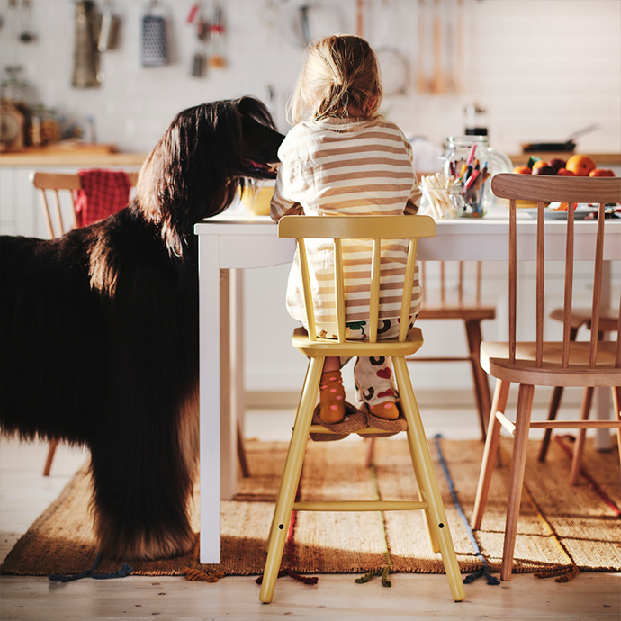 Young girl in pajamas sitting on a yellow stained beech wood children's high chair in a kitchen, next to a white table, a natural wood chair, and an Afghan hound dog.