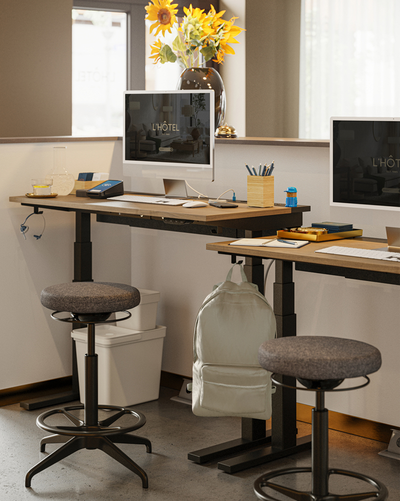 View from staff in a reception office featuring two black MITTZON sit/stand desks in electric walnut veneer near a window.
