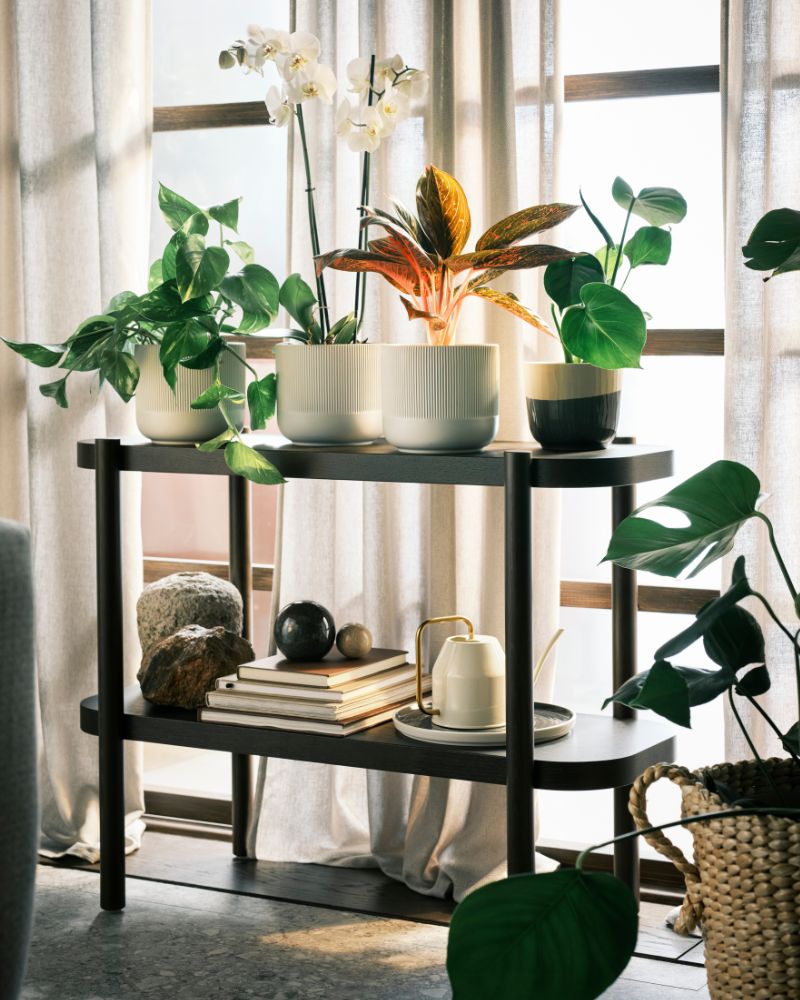 Bright corner with GRADVIS and TÖRNBÄR pots, OLIVBLAD plant stand, VATTENKRASSE watering can and DYTÅG curtains.