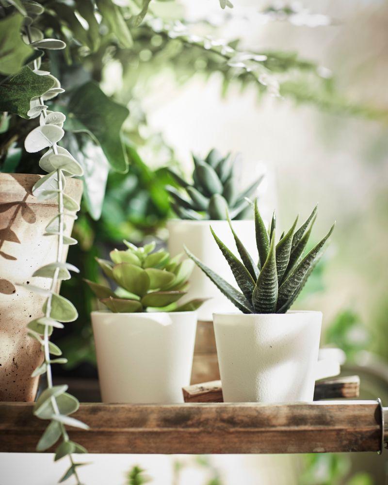 Garden space, lush and calming with FEJKA potted plants arranged on a wooden shelf to create a fresh, green display.