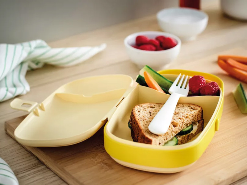 Lunchbox with a sandwich, vegetables, and raspberries.